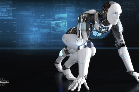 Medinabi – Mascota